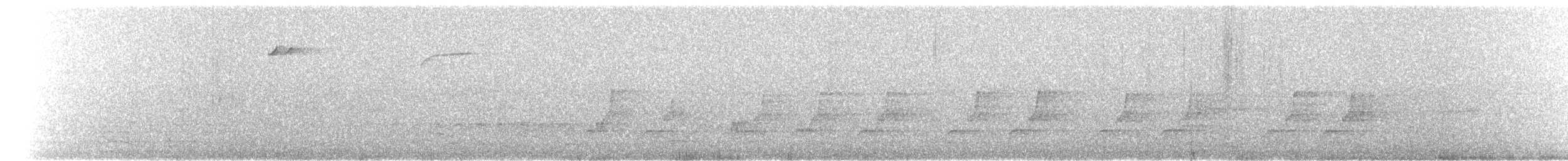 Spotted Quail-thrush - ML175021531