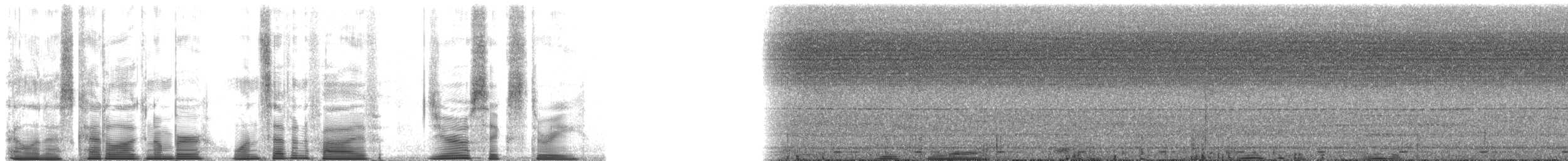 holub ametystový - ML175063