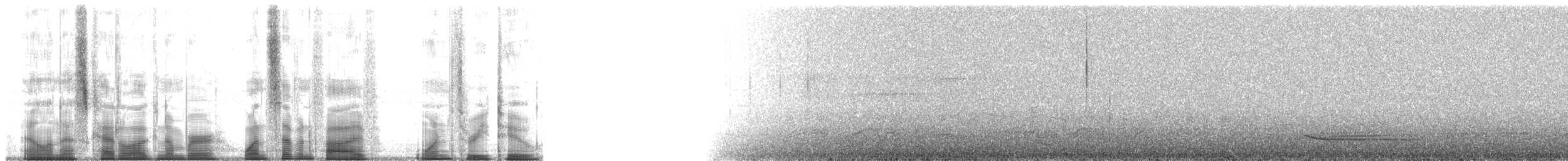 Purpurschnäpperdrossel - ML175132