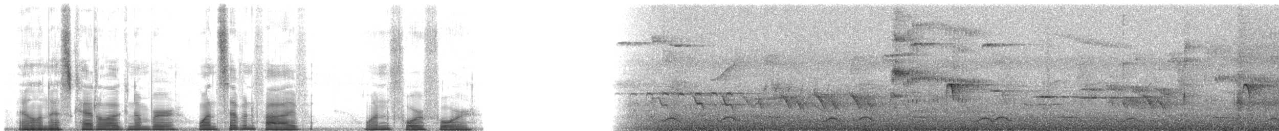 Purpurschnäpperdrossel - ML175144