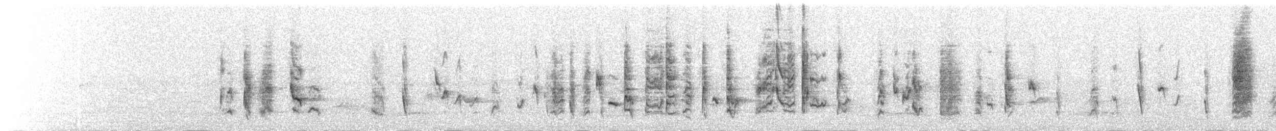 Haarbuschdrongo - ML175158141