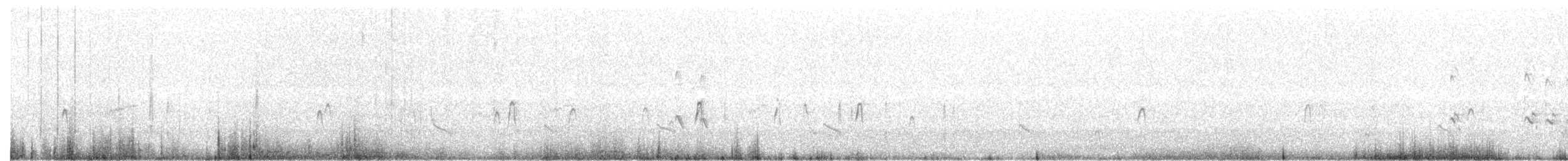 Correlimos Zancolín - ML175191881