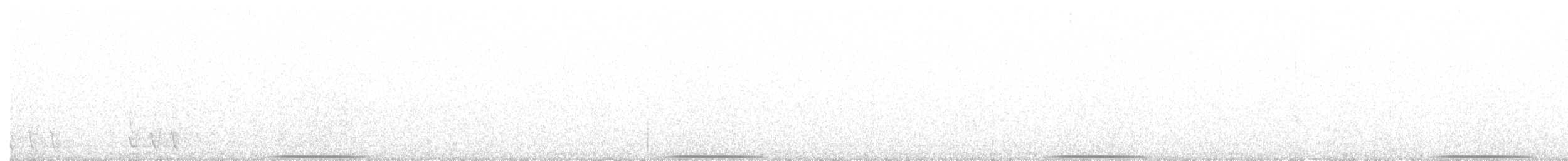 holub bronzovokřídlý - ML175218831