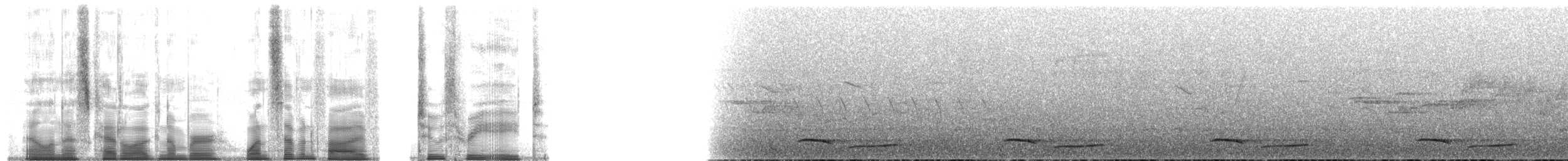 Пестробокая лесная куропатка - ML175238