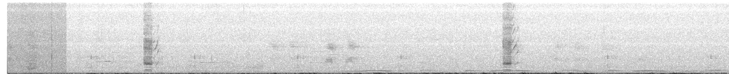 Plush-crested Jay - ML175251491