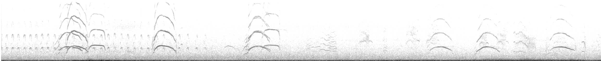 American Oystercatcher - ML175258321