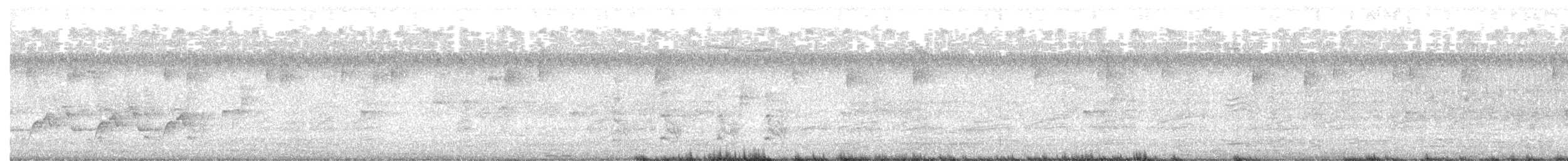 Бор шувууны багын тодорхойгүй зүйл - ML175276641