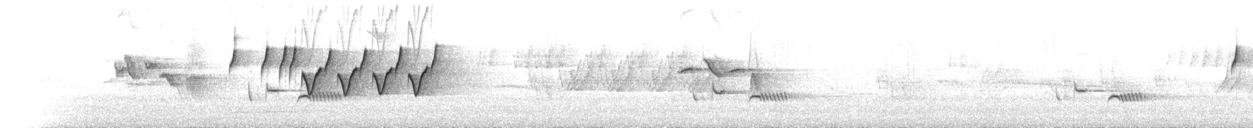 Western Crowned Warbler - ML175305301