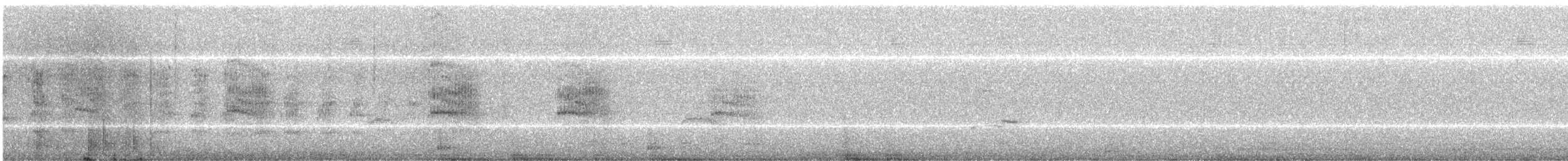 Arctic Tern - ML175305621