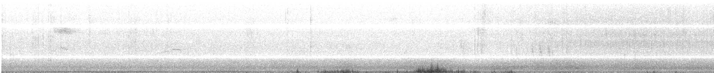 Common Redpoll (rostrata/islandica) - ML175309581