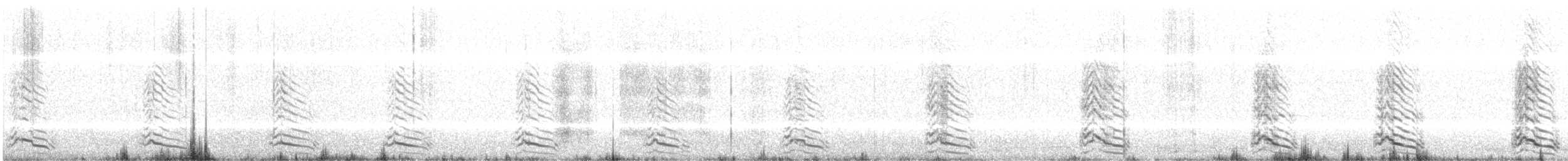 racek žlutonohý (ssp. graellsii) - ML175310451