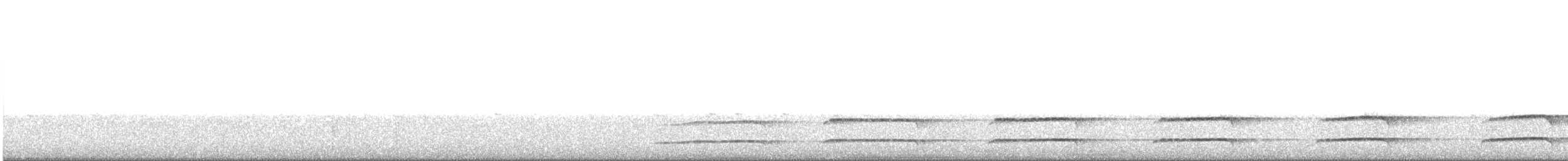Kiwi de Mantell - ML175312071