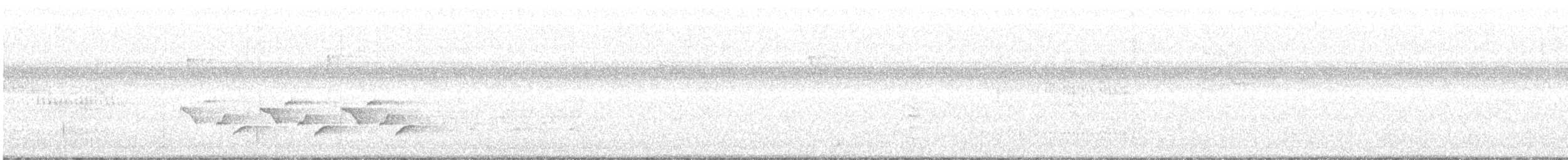 Karolina Çıtkuşu - ML175315681