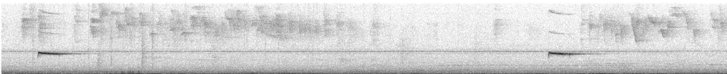 Troglodyte siffleur - ML175316391