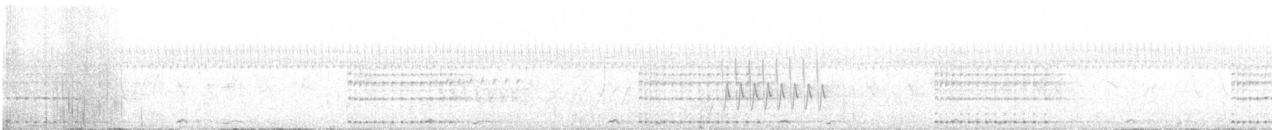 Band-bellied Crake - ML175325621