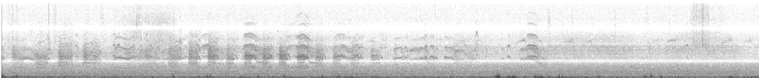 白嘴端燕鷗(sandvicensis) - ML175332081