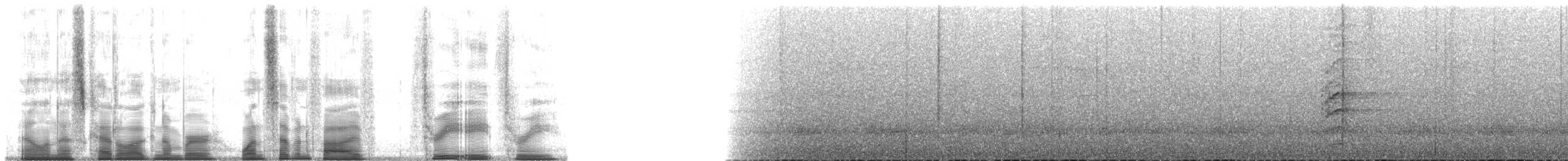Красногузый бородастик - ML175383