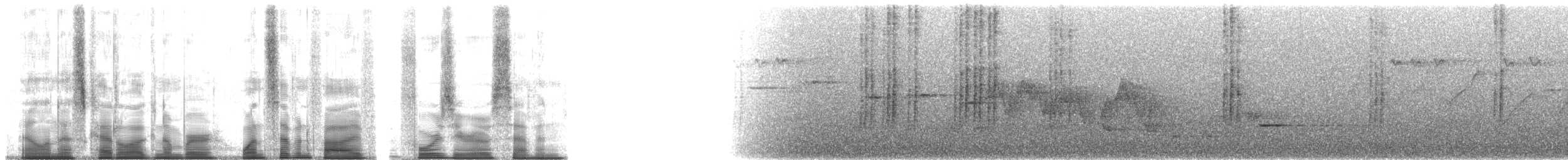 Spot-necked Babbler - ML175407