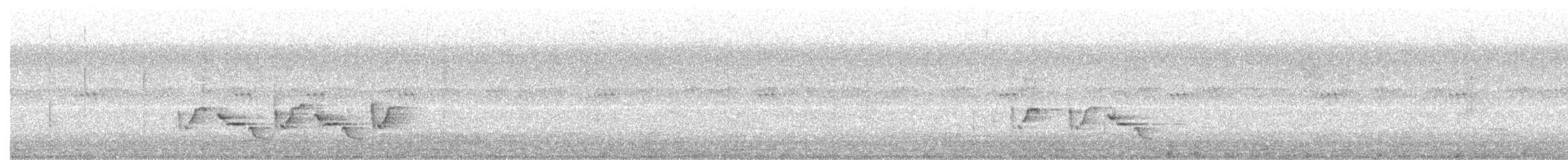 Поплітник каролінський - ML175422491