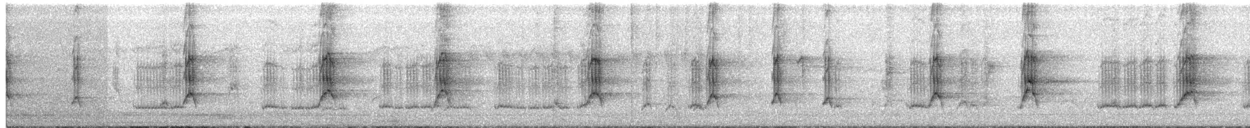 Orangebauch-Drosselhäherling - ML175424791