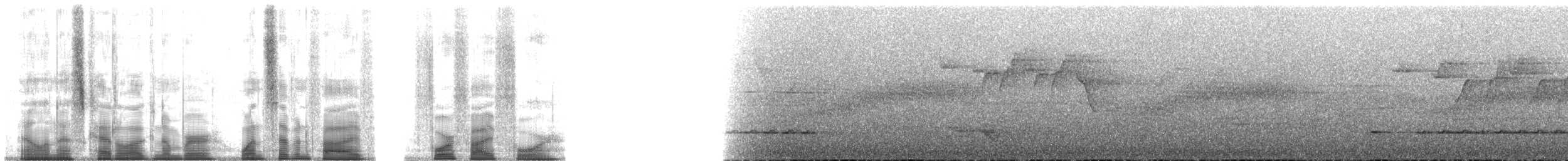 Spot-necked Babbler - ML175454