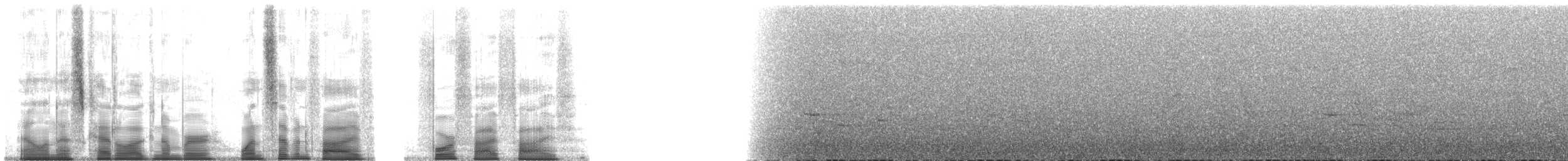 Spot-necked Babbler - ML175455