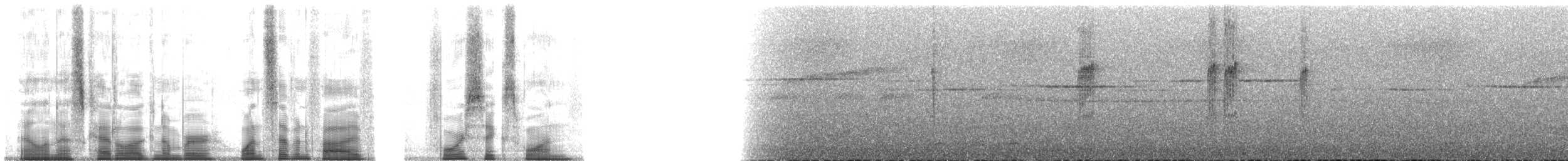 Короткохвостая сутора - ML175461