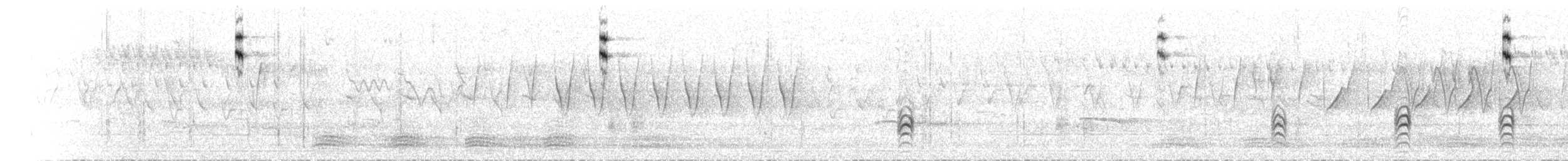 Papamoscas Siberiano - ML175467341