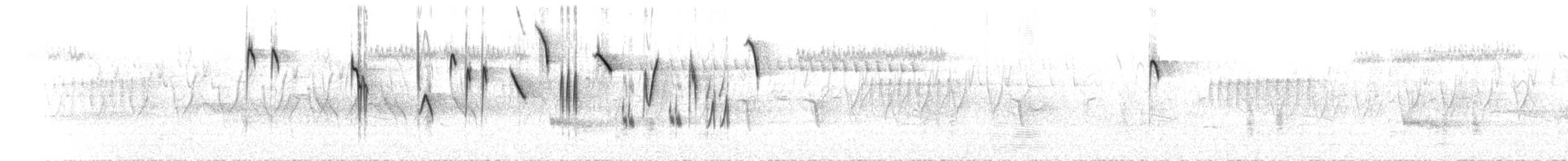 Цагаан хөмсөгт хөмрөг - ML175467411