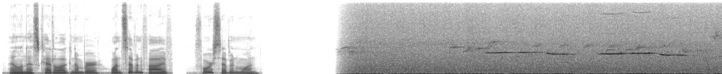 Spot-necked Babbler - ML175471