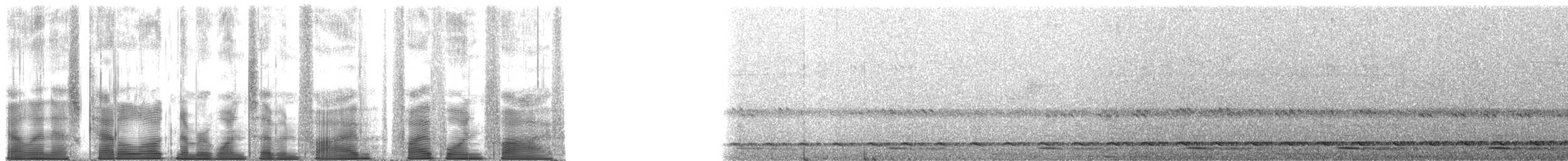 Батакская лесная куропатка - ML175515