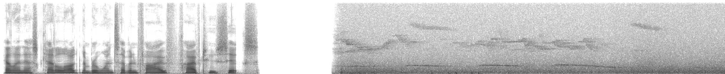 Красноклювая лесная куропатка - ML175526