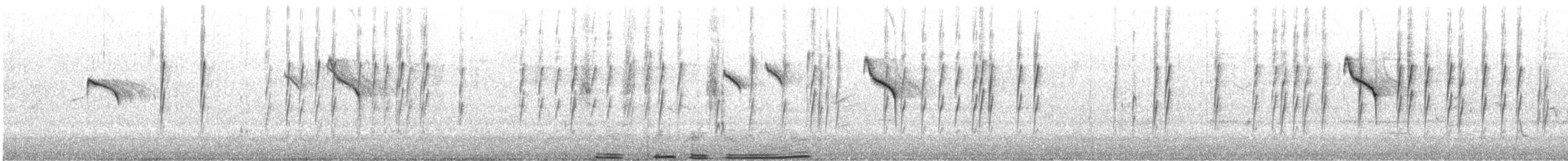 Braunbürzel-Dornschnabel - ML175599921