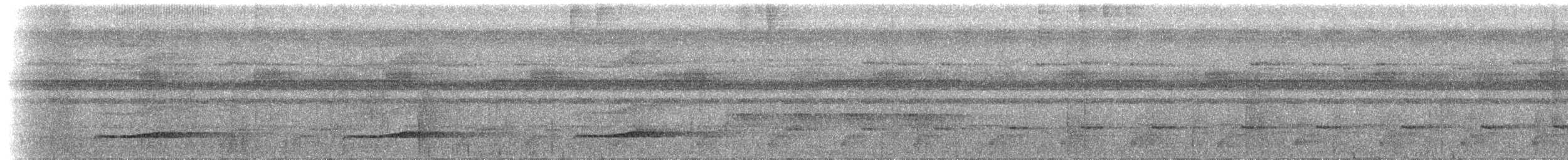 Тихоокеанский коэль - ML175613311
