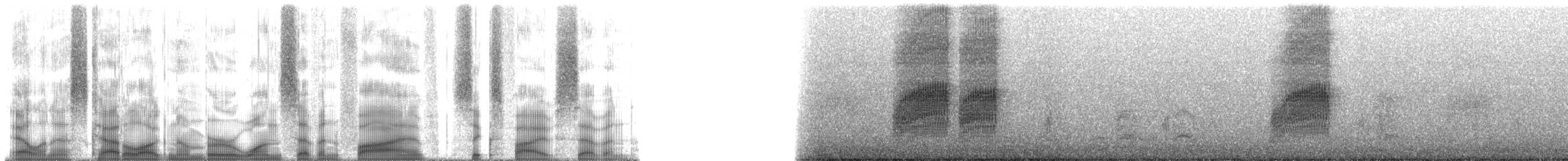 Moustached Laughingthrush - ML175657