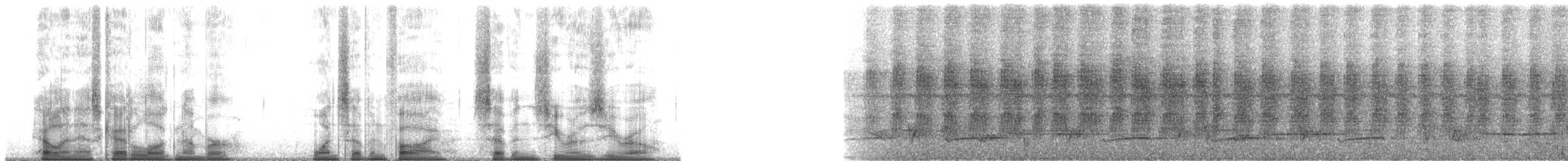 White-chested Babbler - ML175700