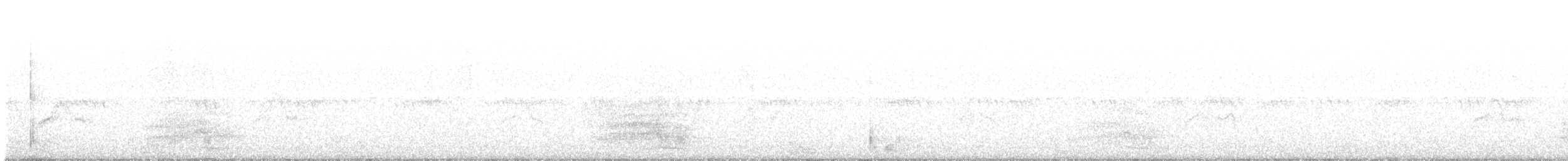 裏海燕鷗 - ML175708141