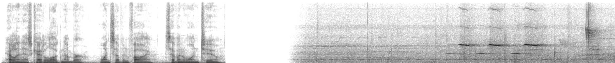 hvitkronekløftstjert (frontalis/chaseni) - ML175712