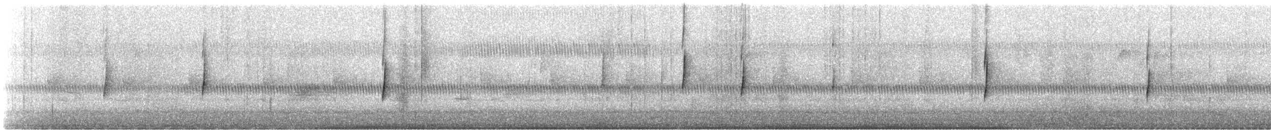 チビメジロハエトリ - ML175736721