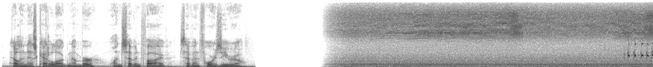 Sürmeli Kervançulluğu (variegatus/rogachevae) - ML175740