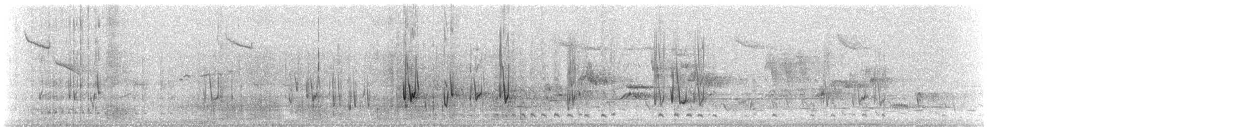 Bourke's Parrot - ML175743701