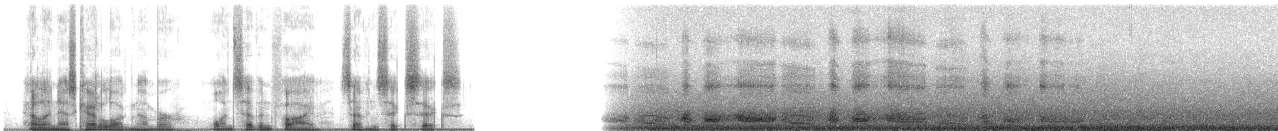 Pardela Pichoneta - ML175766