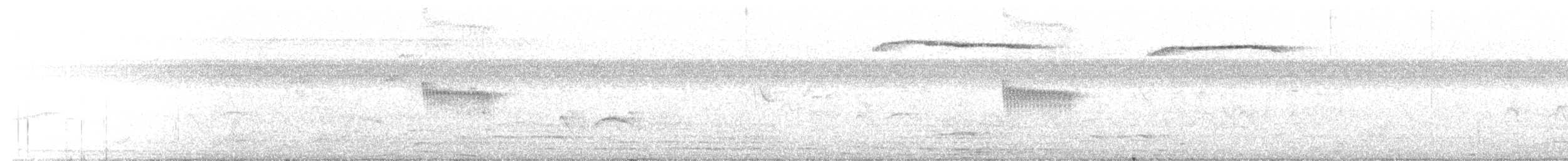 Carpinterito Cuellicanela - ML175770561