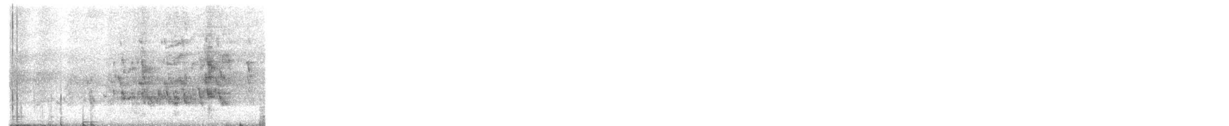 Cotorra Chiripepé - ML175770921