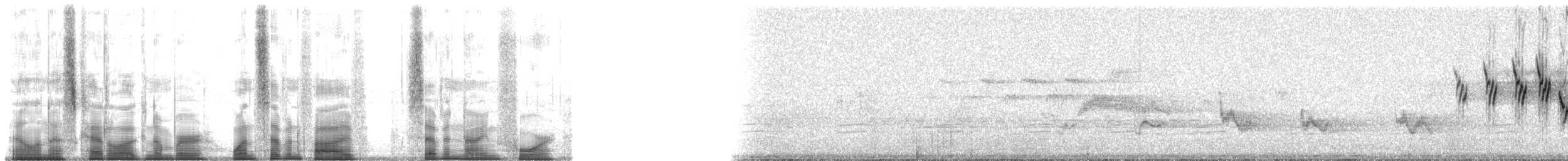 MacGillivray's Warbler - ML175794