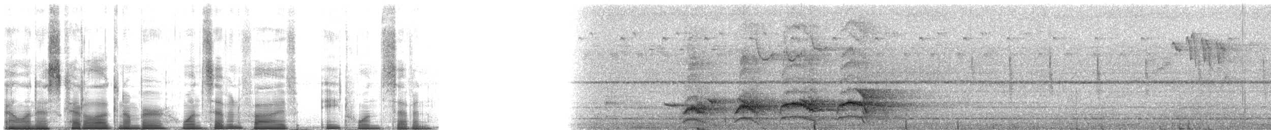 Sierra Madre Crow - ML175817