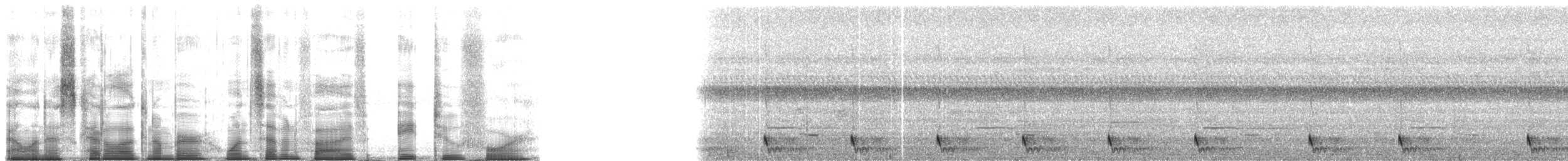 Chotacabras Macruro - ML175824