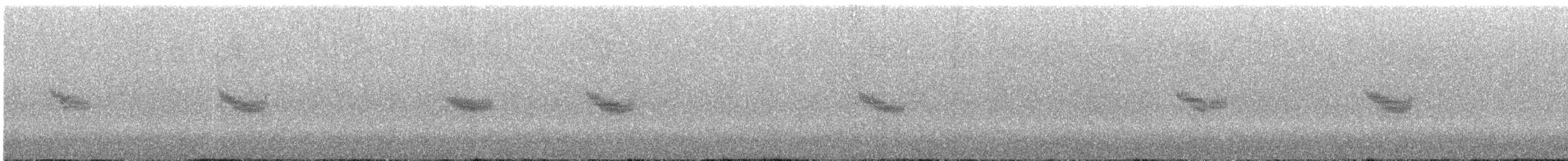 Вилохвістка плямиста - ML175829621