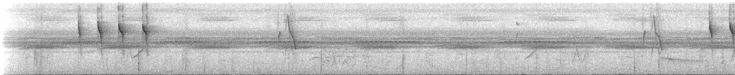 ハシボソホオジロカマドドリ - ML175853431