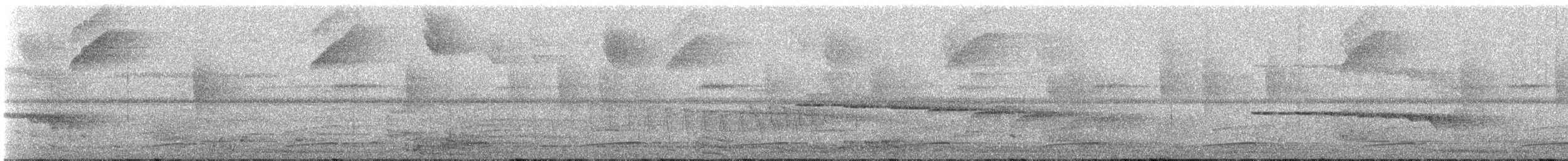 Curl-crested Aracari - ML175911261